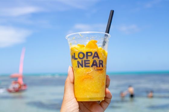 O que fazer em Macei� no ver�o: um roteiro entre mar, sabor e m�sica